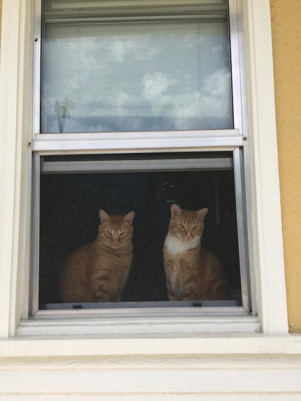 /Images/uploads/Humane Society of Utah/HSUCalendar/entries/1646thumb.jpg